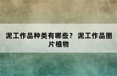 泥工作品种类有哪些？ 泥工作品图片植物